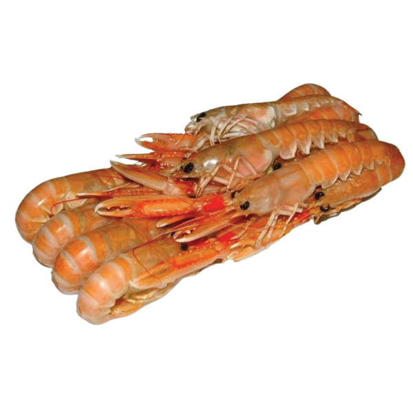 Scampi 17/20 congelati