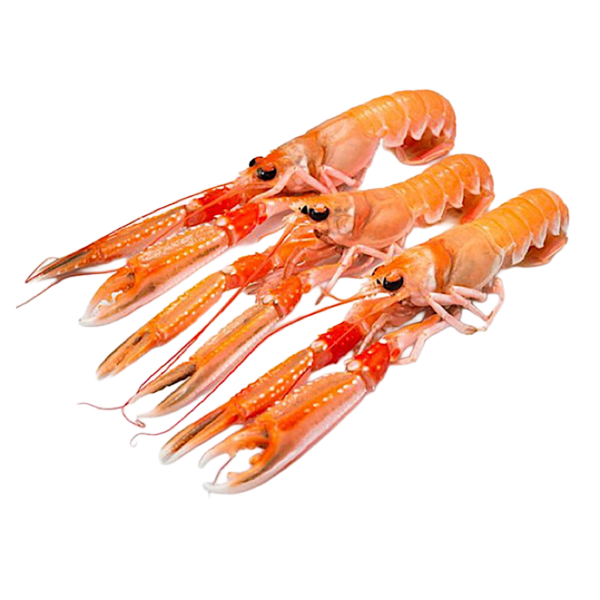 Scampi della Scozia 21/30