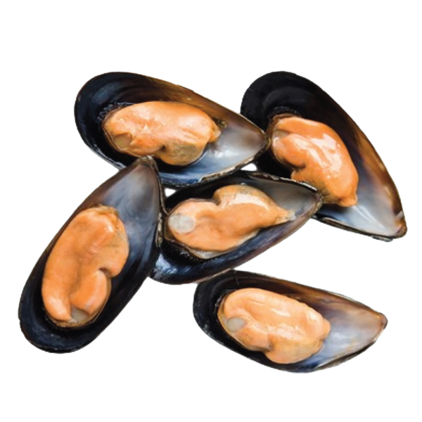 Cozze 1/2 guscio congelate
