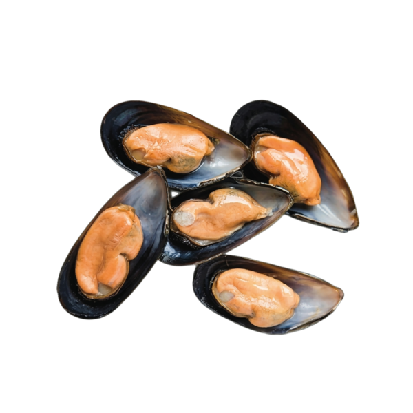 Cozze 1/2 guscio